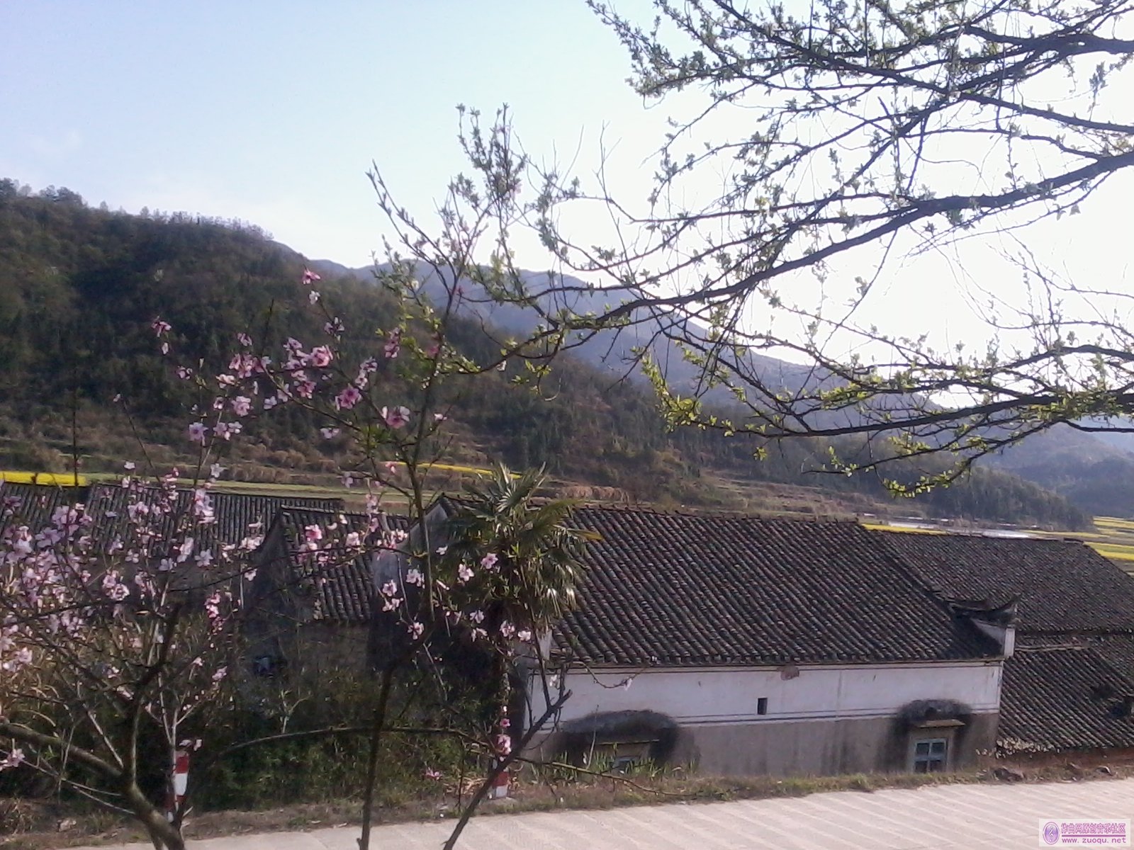 2012-04-03 16.00.34.jpg