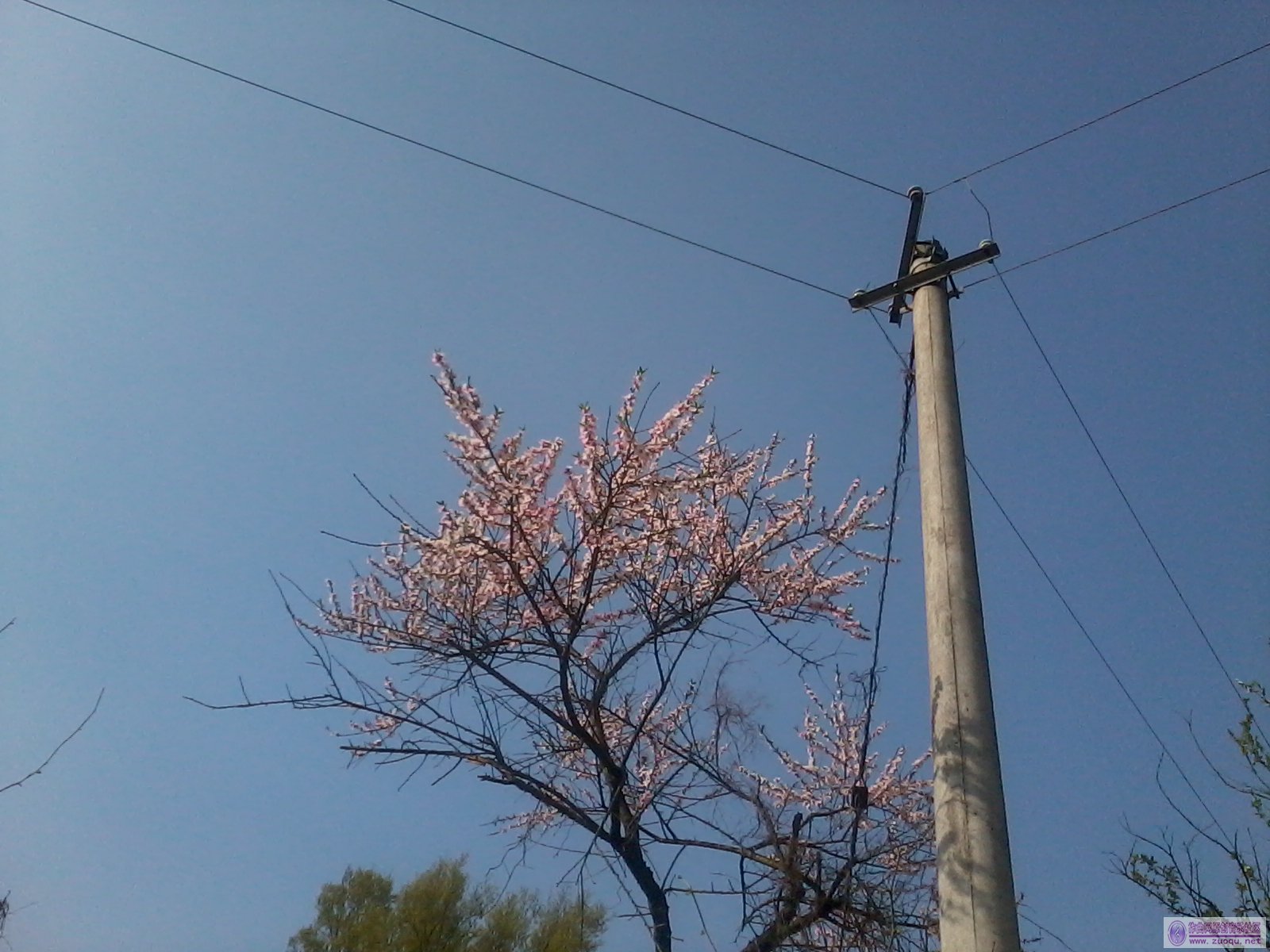 2012-04-03 16.01.38.jpg