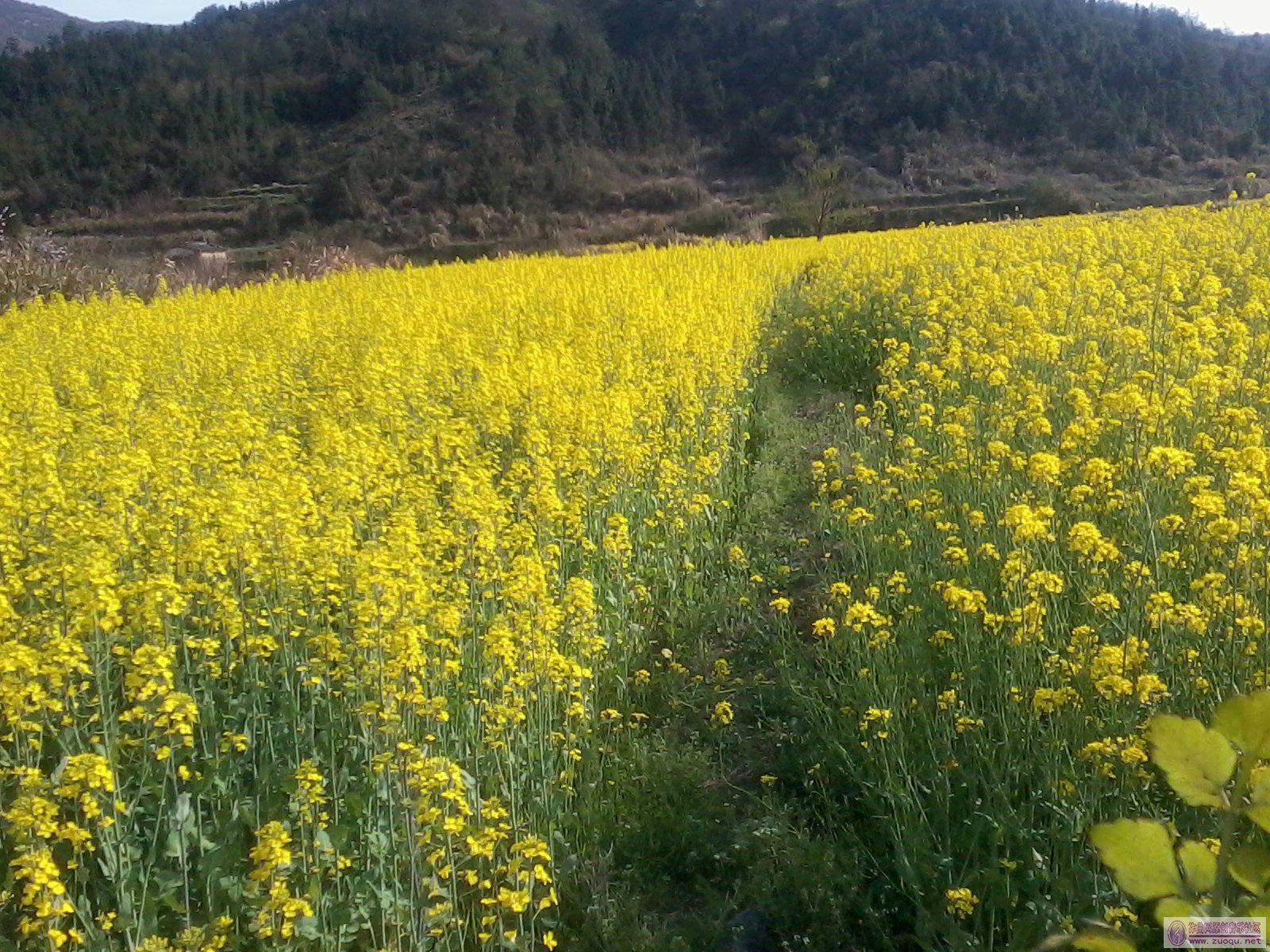 2012-04-03 15.54.09.jpg