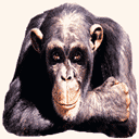 QQͼƬ20130121115930.gif