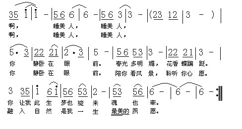 显曲谱柳传张_钢琴简单曲谱