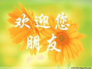 t0141a5d824975a66ae.jpg