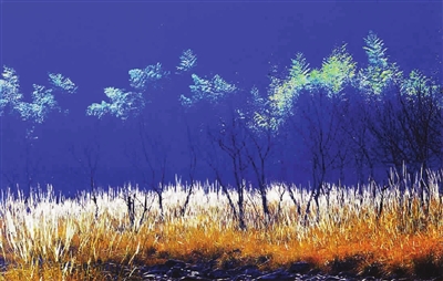 p23_b.jpg66.jpg