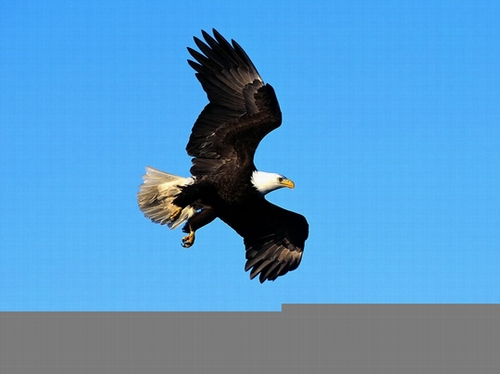 201014141217171.jpg
