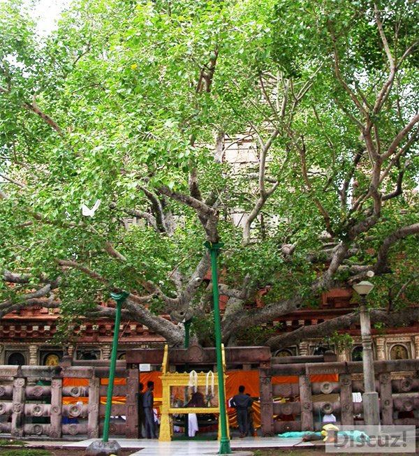 20110629103757413.jpg