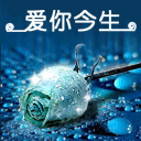 2007714203023323.gif