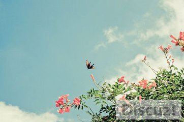 t01d7b020f041fd7a5a.jpg
