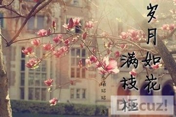 t0132040d48b59053b7.jpg