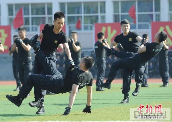 CF.jpg