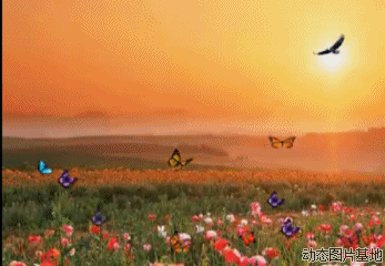 t010ca630c59630ca97.gif