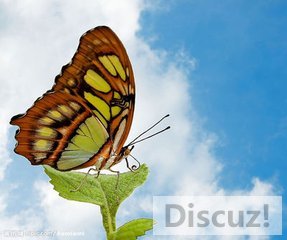 t012c288951b8a42349.jpg