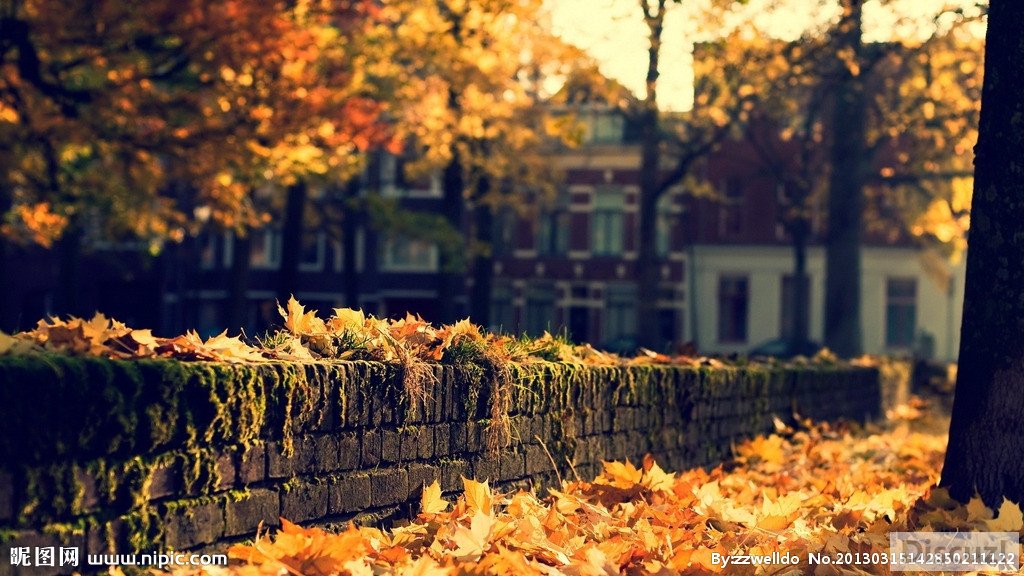 12092329_142850211122_2.jpg