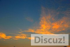 t013aa81d631f9a4109.jpg