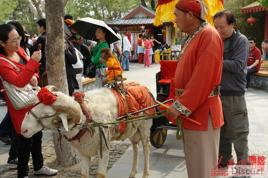 20110424_a57e17747a422540e6f6QuTYlZHAUh97.jpg