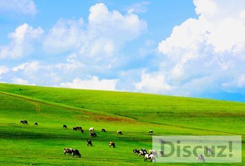 t01a7d49aead3882d22.jpg