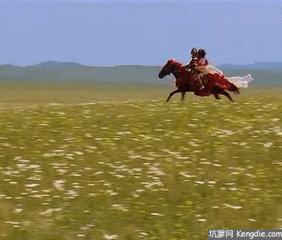 t0109a519a43ca07dad.gif