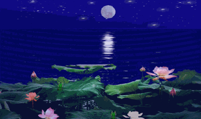 t0171fdf3a9012d2fd7.gif