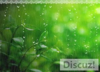 t01a0c77c6a9fd031fe.jpg