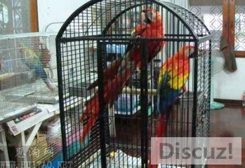 t013102d21a04cc48d8.jpg