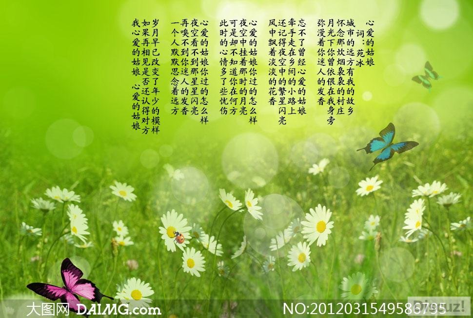 3-1203132224402T.jpg