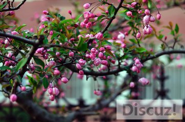 t01f535e9a836efb3df.jpg