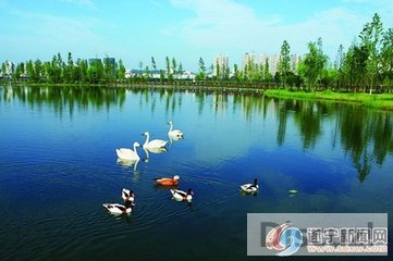 t01d9768ee7d145c2bf.jpg