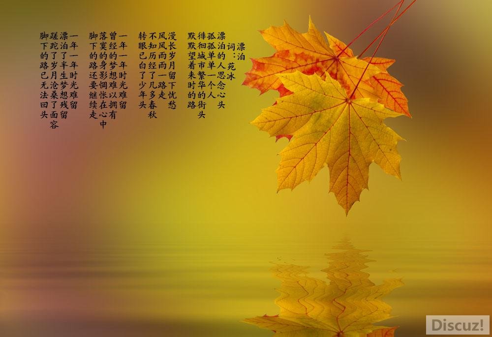 8063-12021310324778.jpg