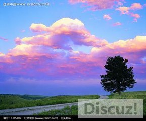t014fc8d91596bd6be1.jpg