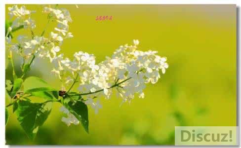 u=3691563545,2217866102&amp;fm=26&amp;gp=0.jpg