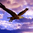 t010cb51e29d596fe7b.gif