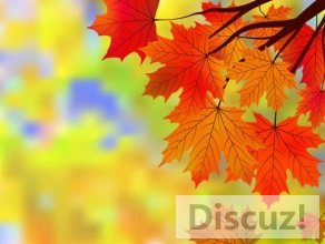 b467ec84f3d6ecb6-822ca4a0d4de0246-e987f858b8e622432b7d309ca44a6bda.jpg