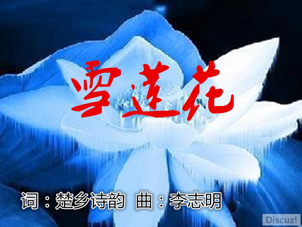 ѩ_.jpg