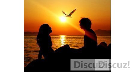 215919h64epbkigpare6f9.jpg.thumb.jpg