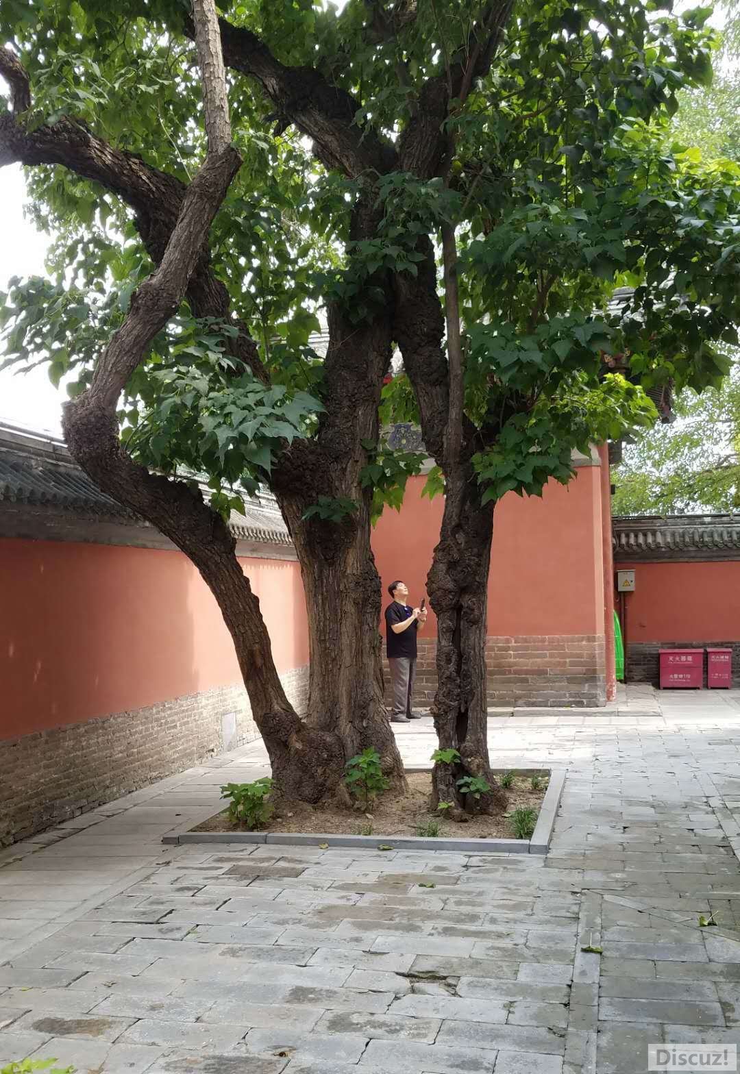 592460454724038424.jpg