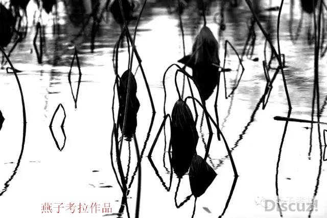 511dc82d8bbd46b9a07a143de00c65e_.jpg
