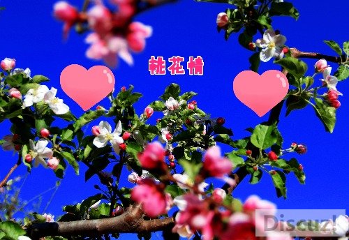 timg(4)_mh1553550011443.jpg