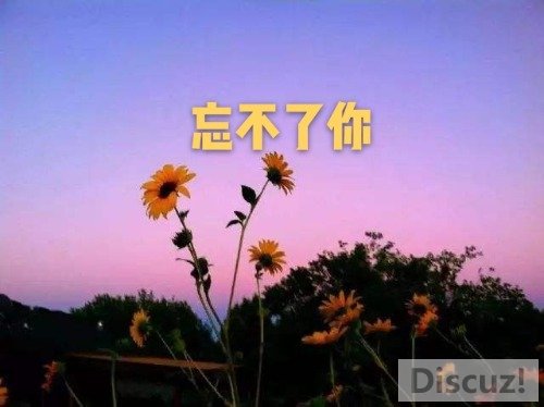 timg-7_mh1555053481307.jpg