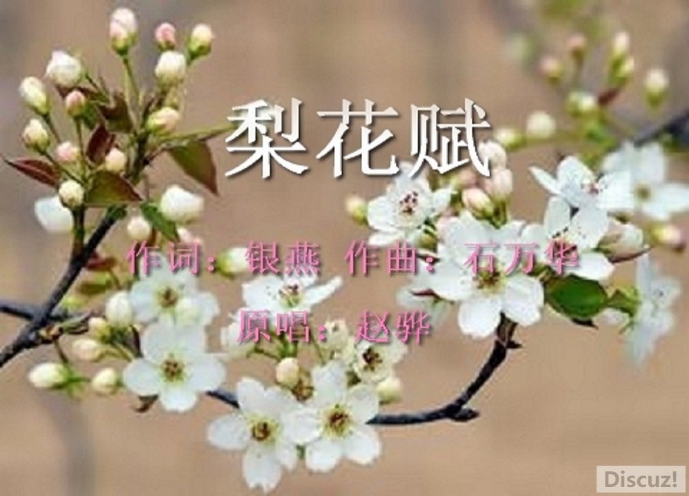 滨-.jpg
