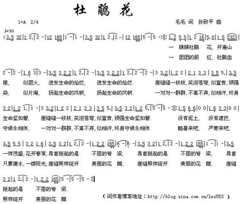 毛毛简谱_孕妇下面毛毛照片(2)