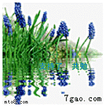 30019.gif