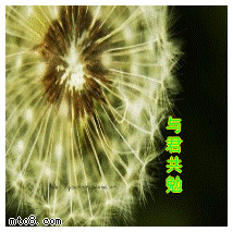 316.gif