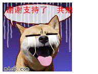 2541.gif