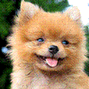 ͼ.GIF