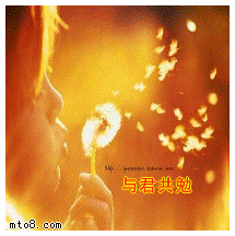 318.gif