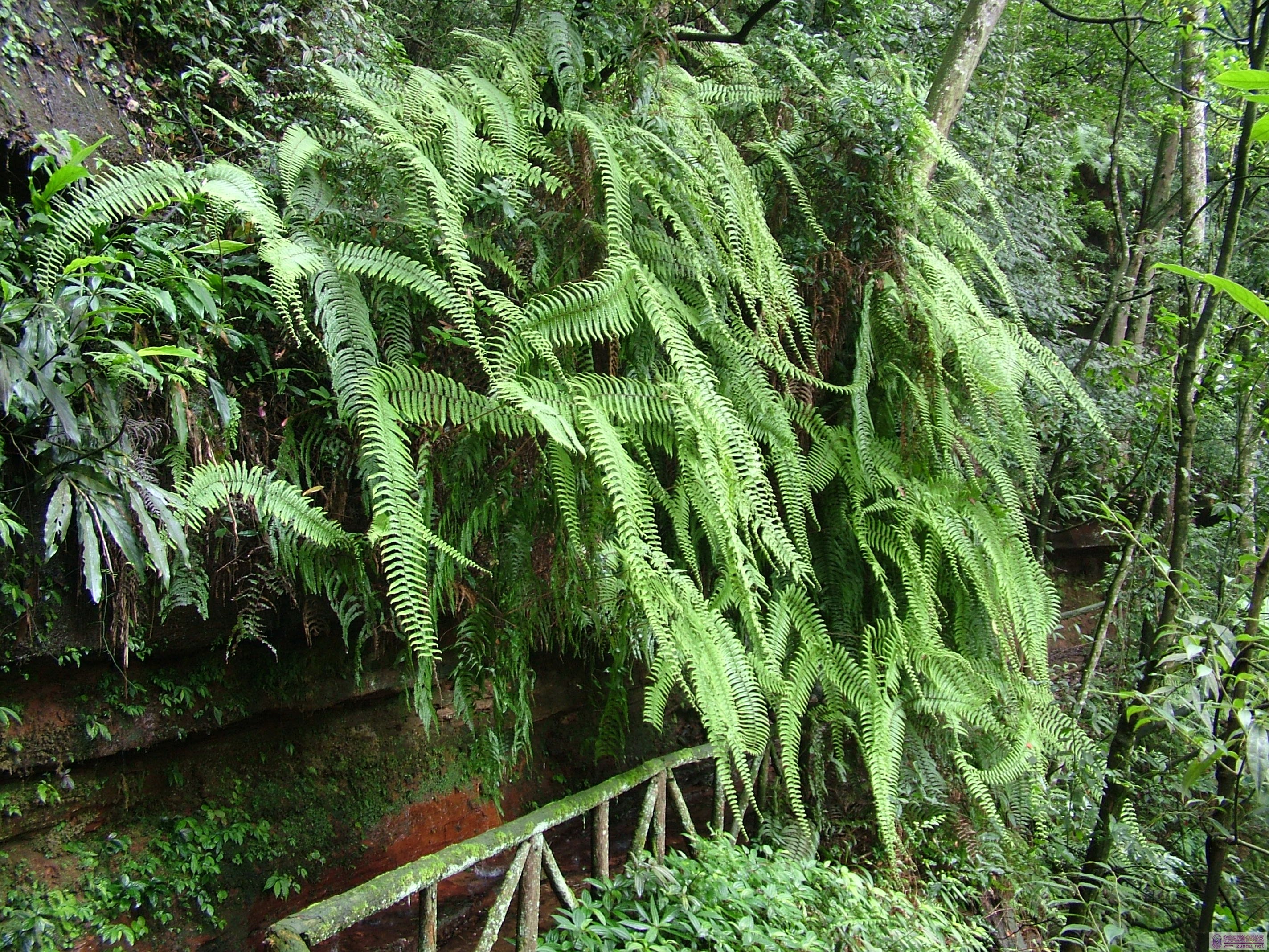 DSCF1283.JPG