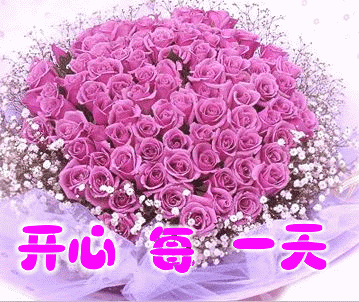 015424wk8zwn81ko3qlirw.gif