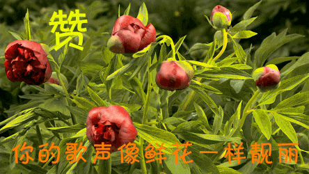 221445urvnqnyaunynanuw.gif