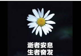 QQͼƬ20131117093151.jpg