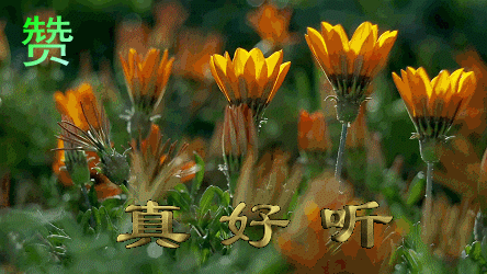 9b3f1e57tw1e93he3y91fg20cc06yqv8.gif