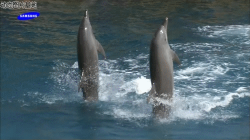 回家【演唱:梅花雪 词,曲,编:方雪】